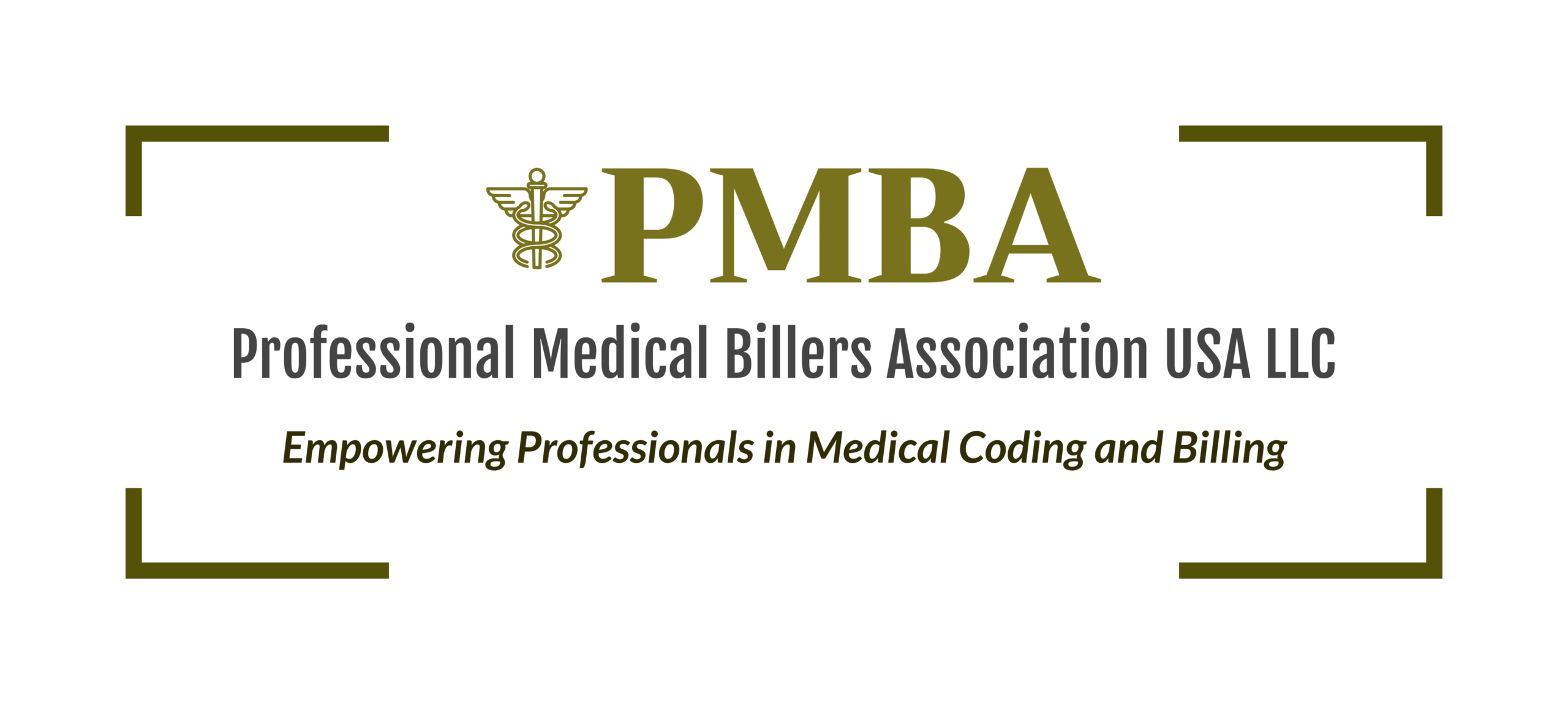 pmba-logo-full